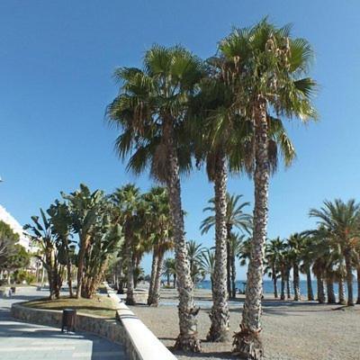 Appartement Sunshine At Tropical Coast Of Granada *